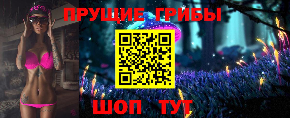 Чехов  Псилоцибиновые грибы Psilocybe  Вход с VPN 