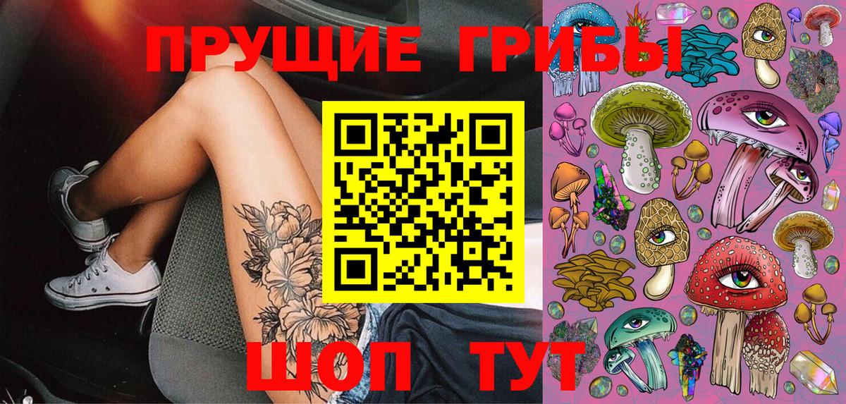Галлюциногенные грибы мицелий Чехов